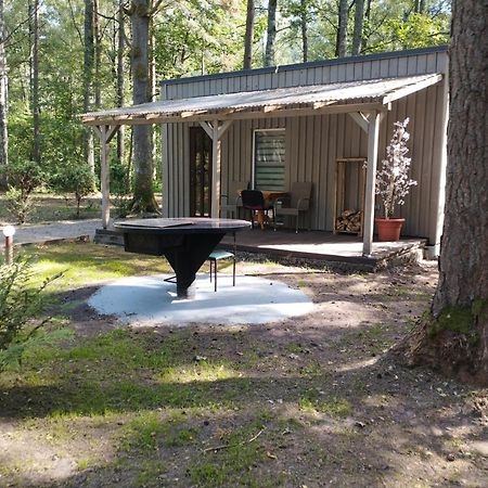 Villa Asmonu Poilsiaviete Kinty Esterno foto