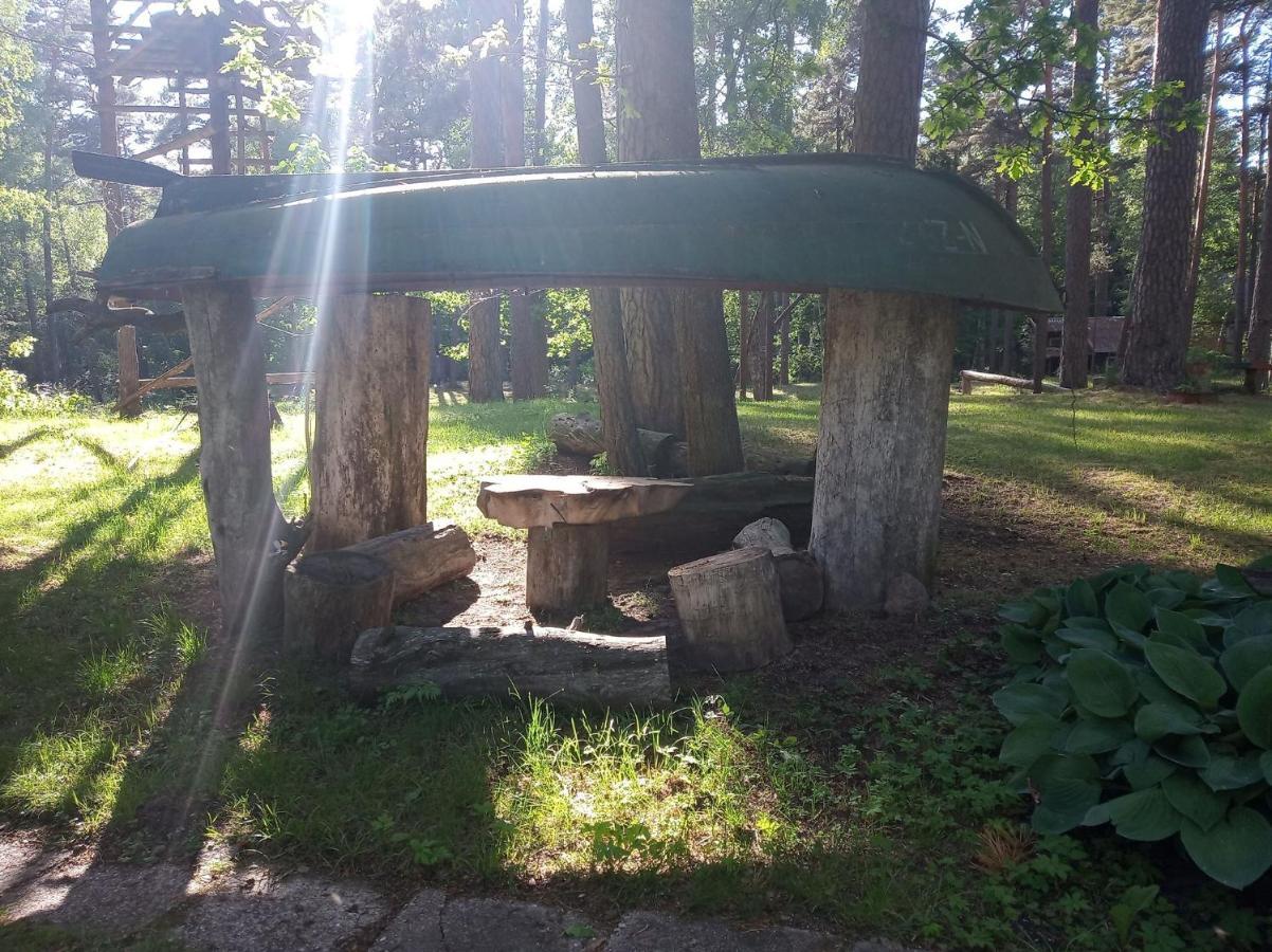 Villa Asmonu Poilsiaviete Kinty Esterno foto