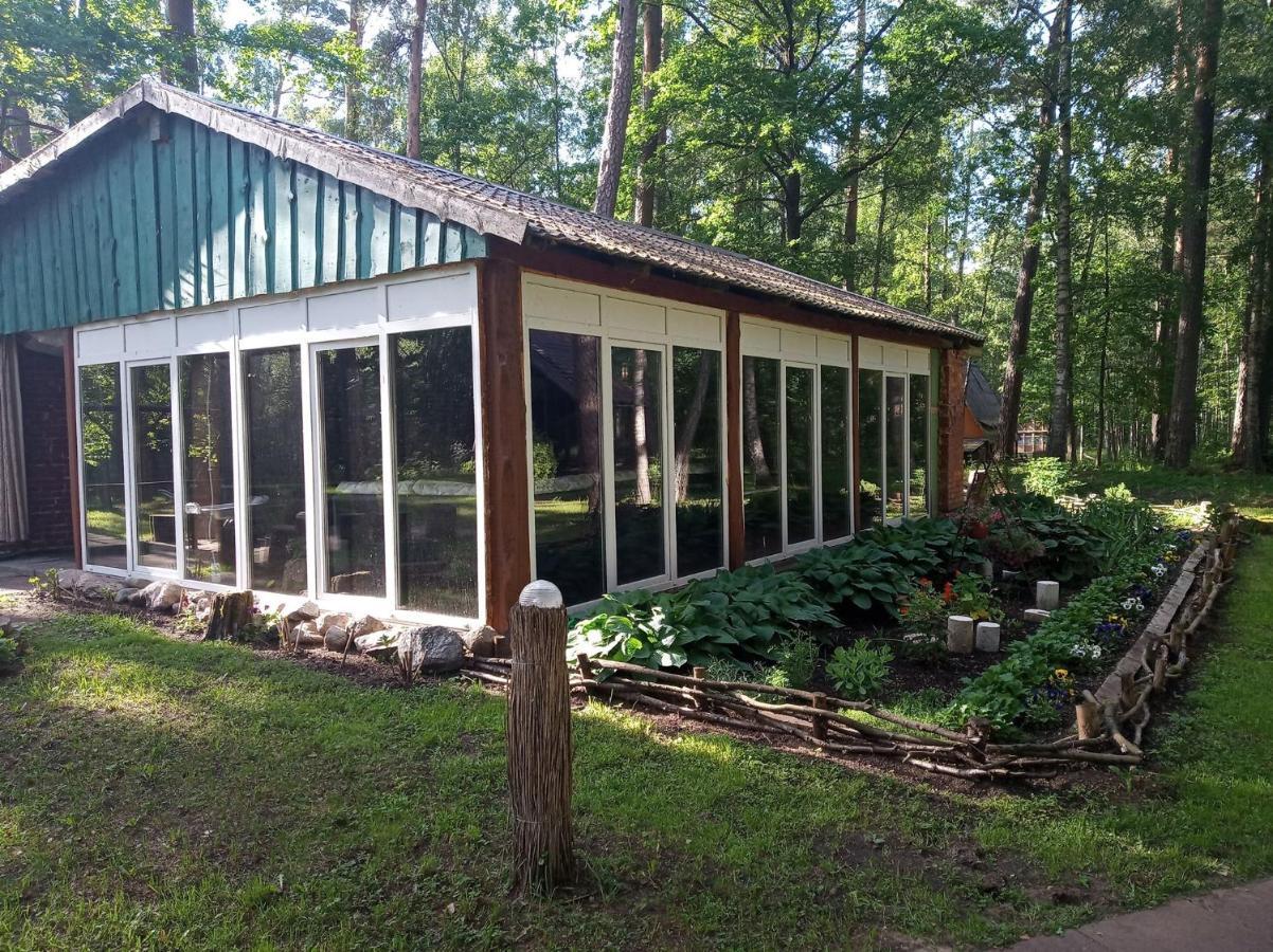 Villa Asmonu Poilsiaviete Kinty Esterno foto