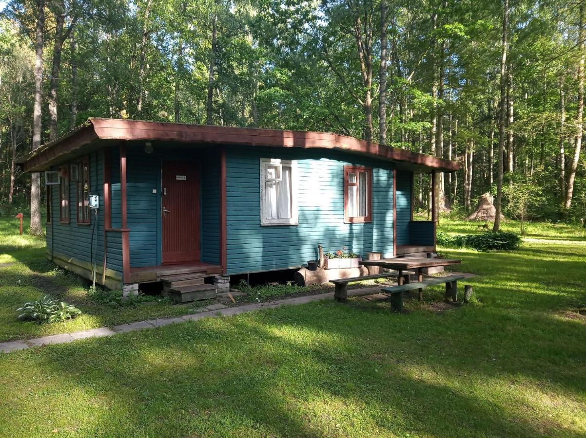 Villa Asmonu Poilsiaviete Kinty Esterno foto
