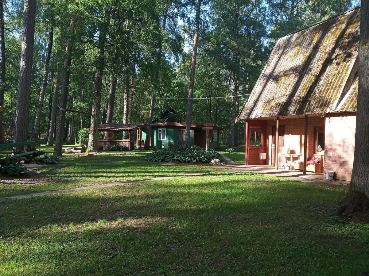 Villa Asmonu Poilsiaviete Kinty Esterno foto