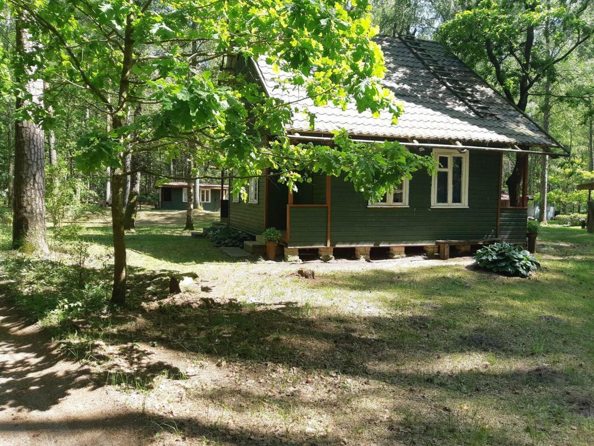 Villa Asmonu Poilsiaviete Kinty Esterno foto