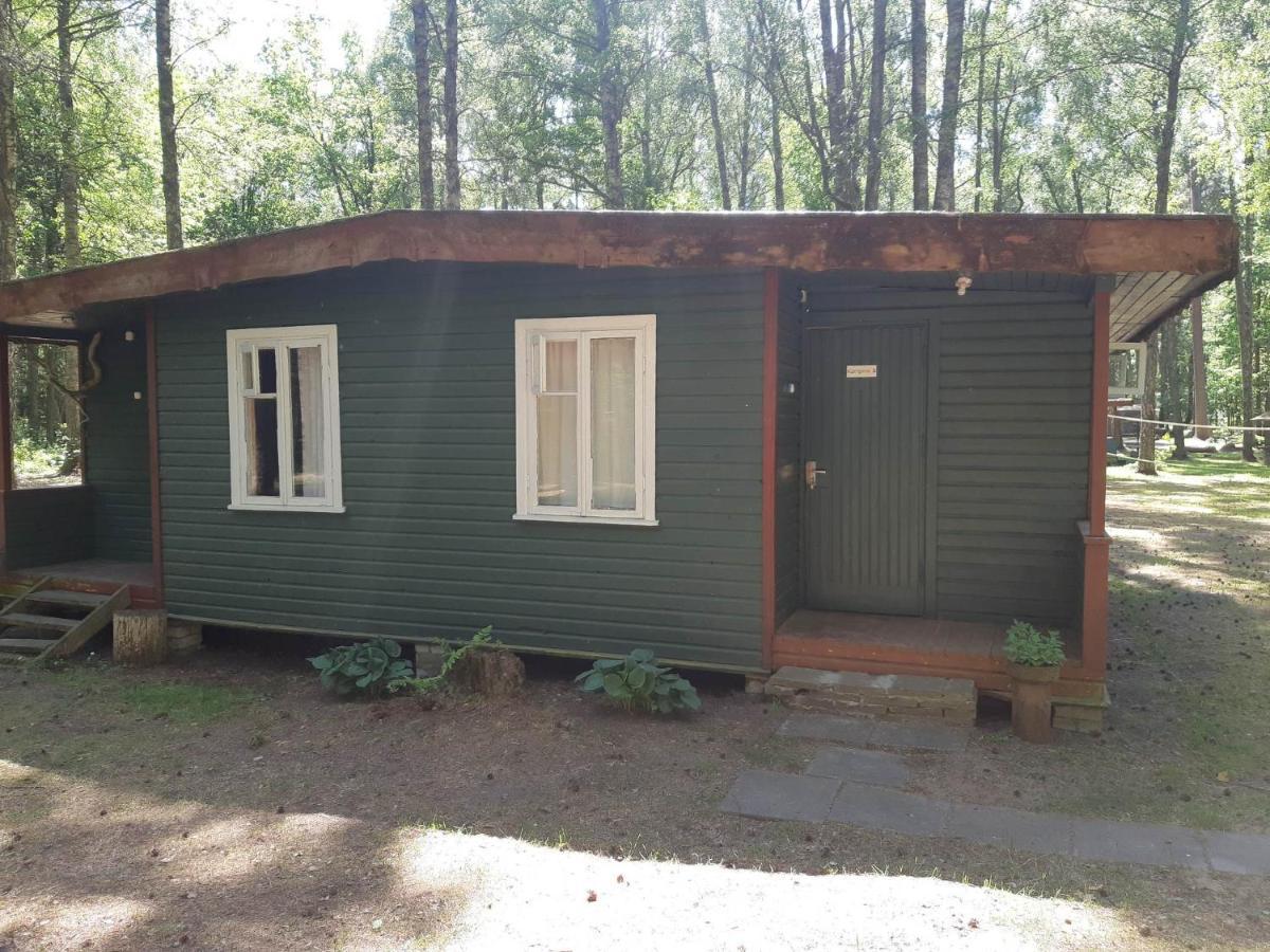 Villa Asmonu Poilsiaviete Kinty Esterno foto