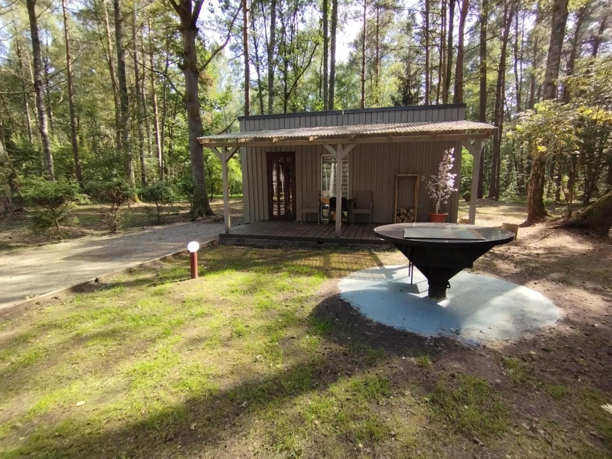 Villa Asmonu Poilsiaviete Kinty Esterno foto