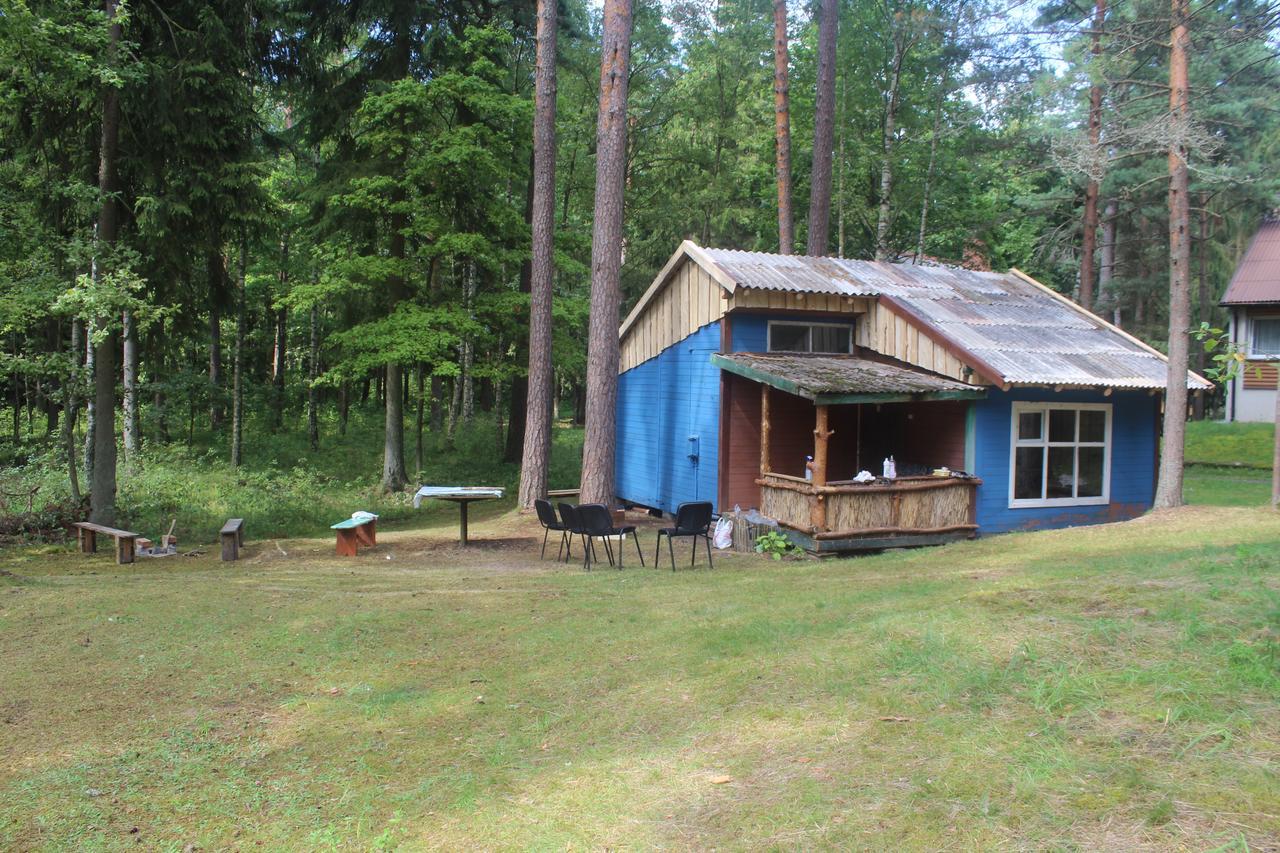 Villa Asmonu Poilsiaviete Kinty Esterno foto