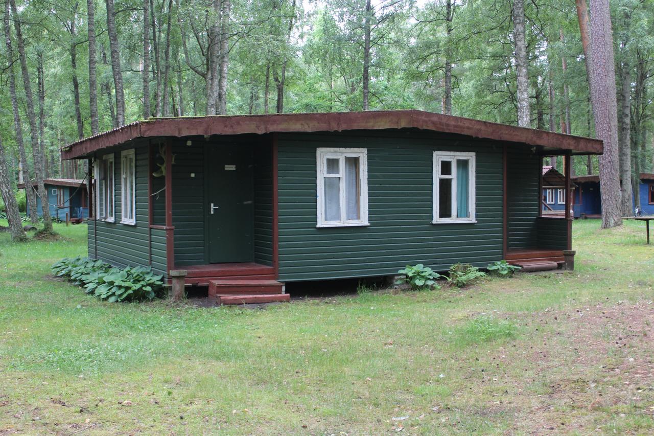 Villa Asmonu Poilsiaviete Kinty Esterno foto