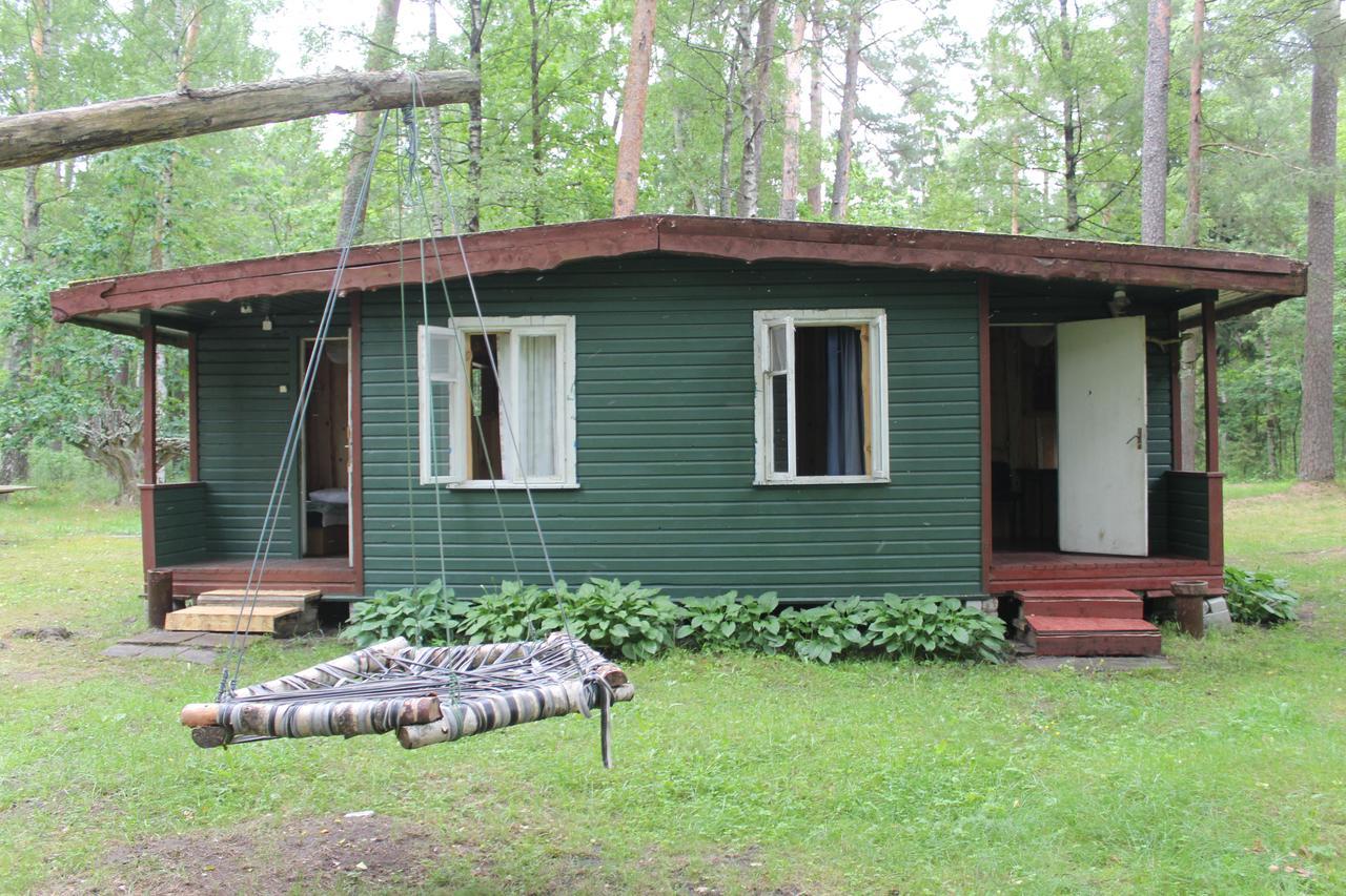 Villa Asmonu Poilsiaviete Kinty Esterno foto