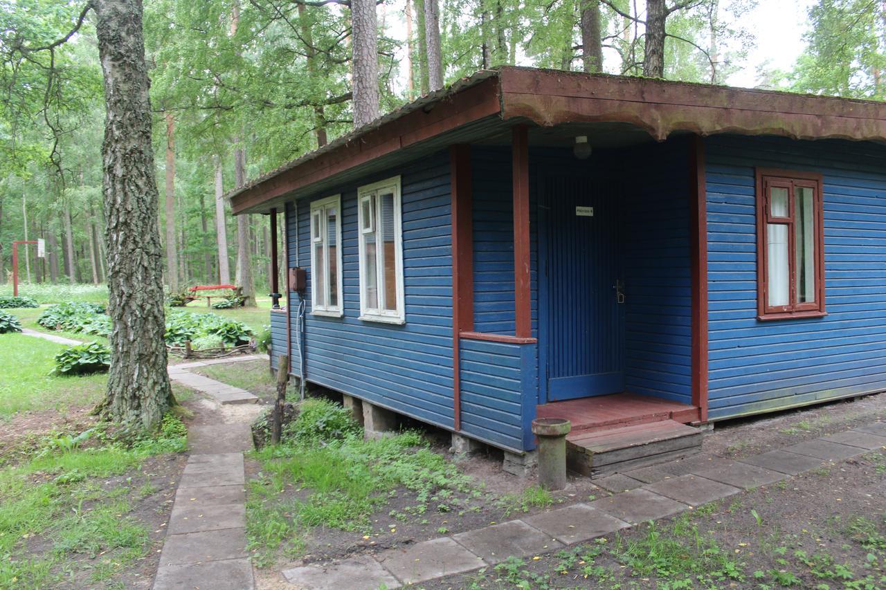 Villa Asmonu Poilsiaviete Kinty Esterno foto